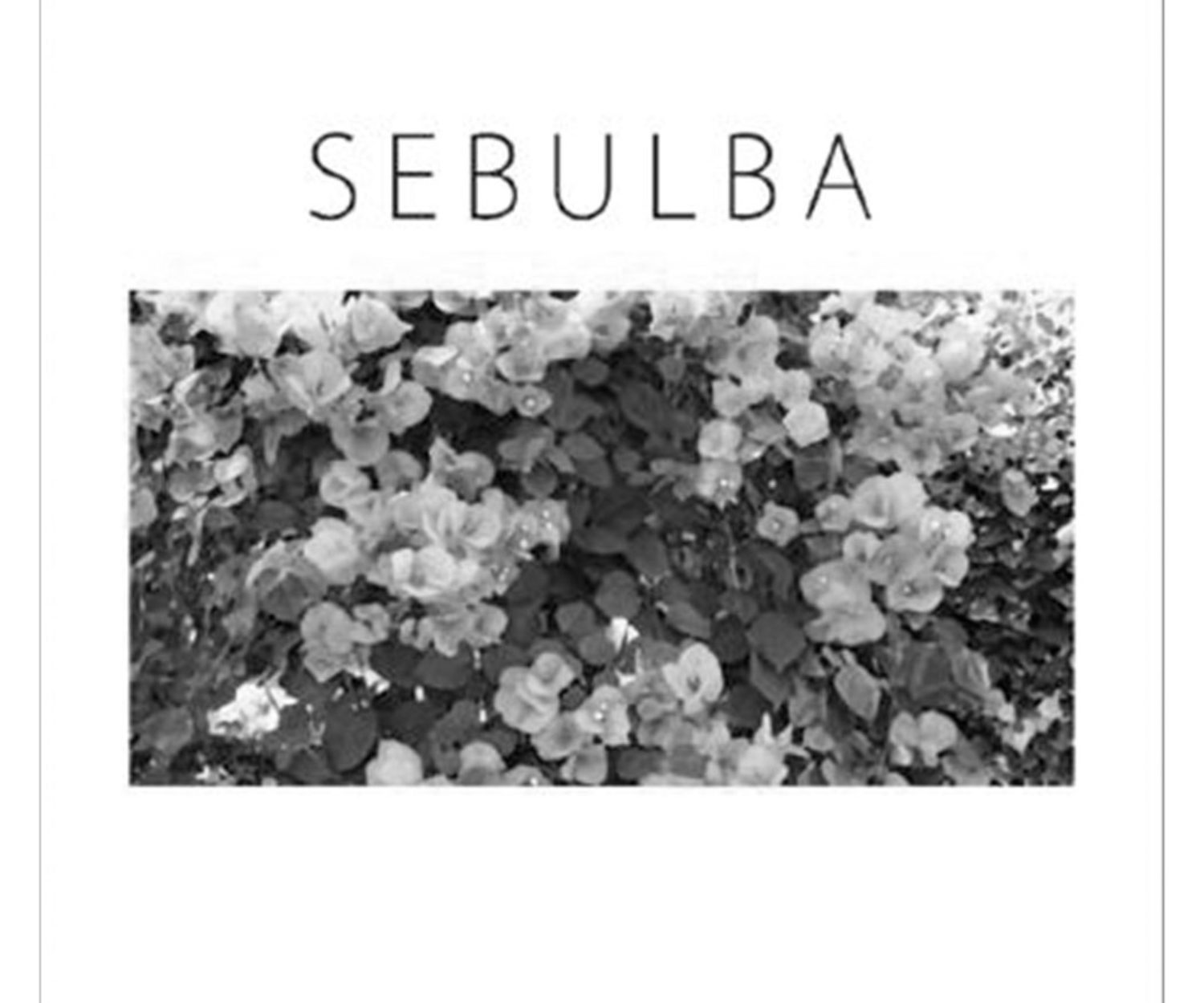 SEBULUBA