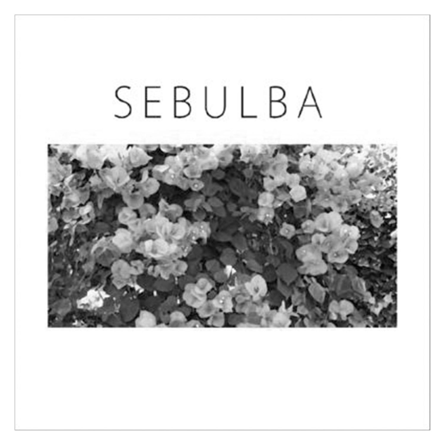 SEBULUBA