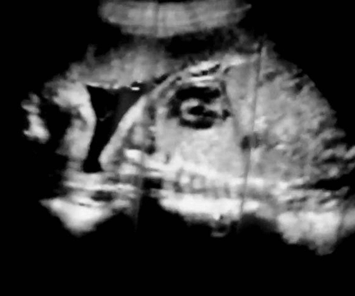 アタマカラダ　MV