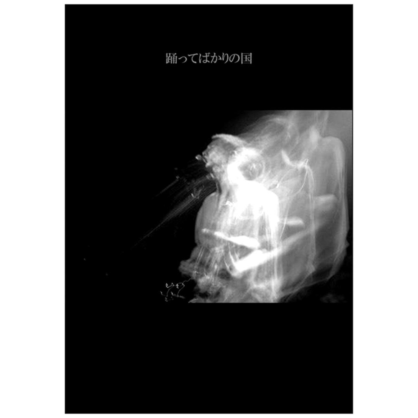 踊ってばかりの国 ZINE