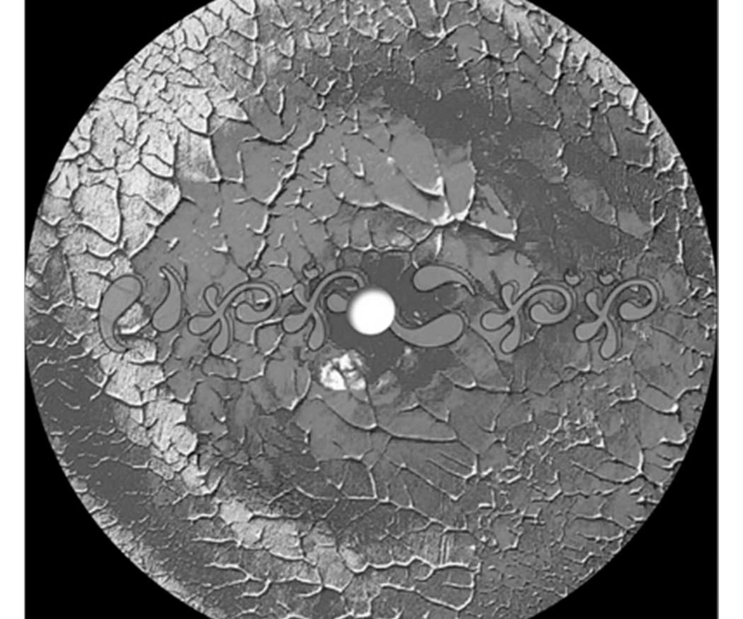 いややこやや EP