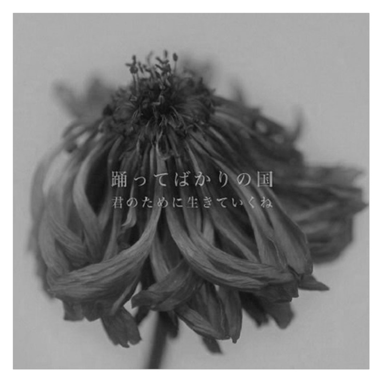 君のために生きていくね