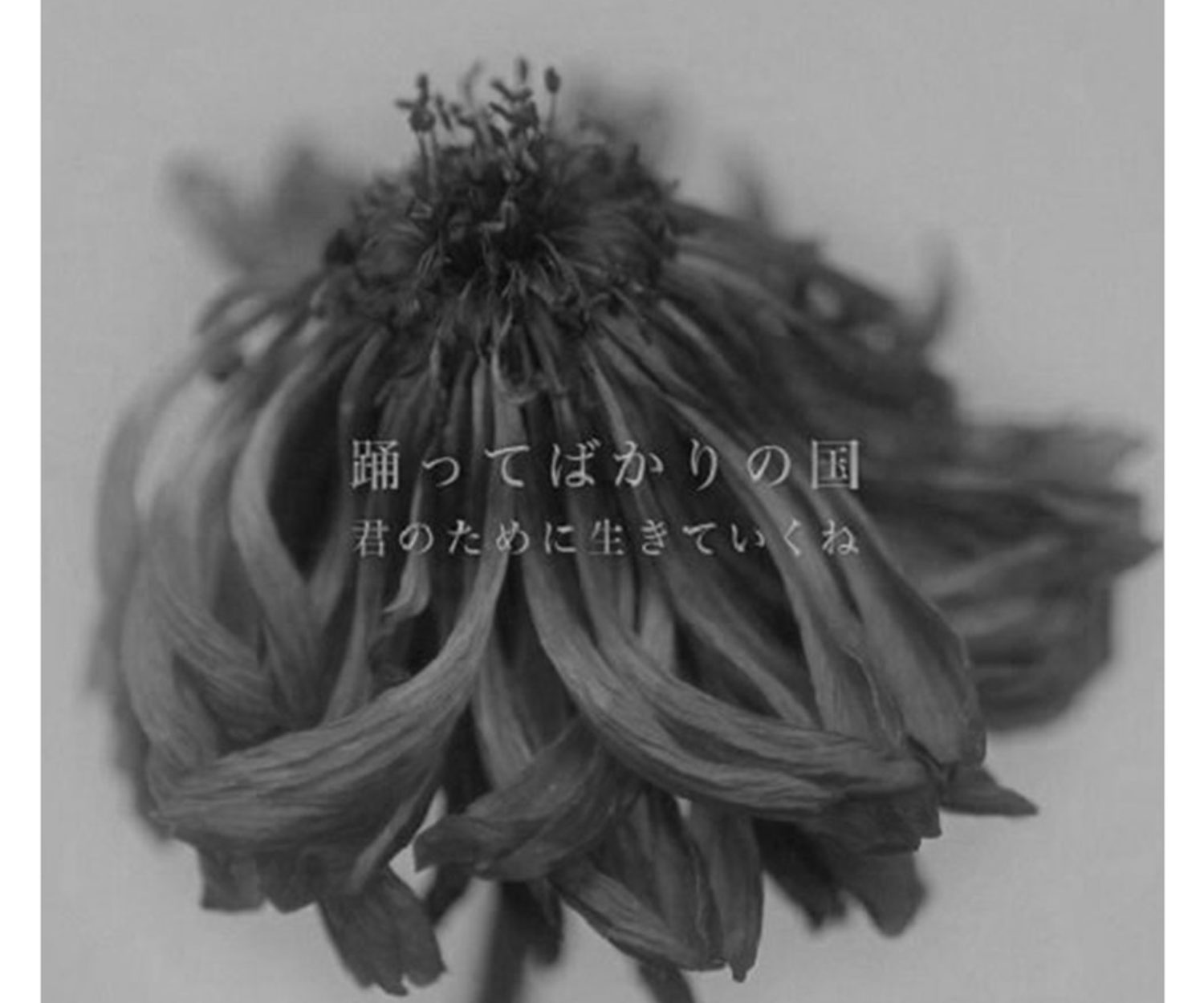 君のために生きていくね