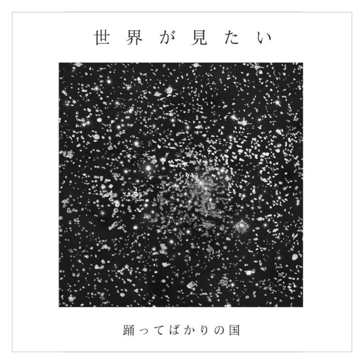 Discography | 踊ってばかりの国