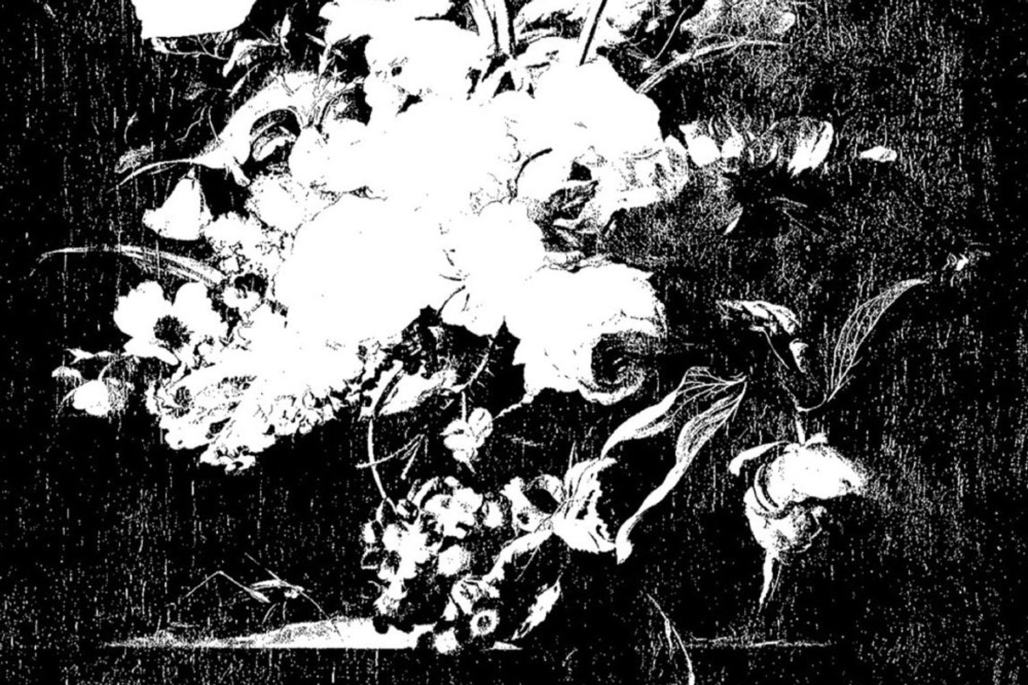 下津光史 会いたい人に会いに行くツアー