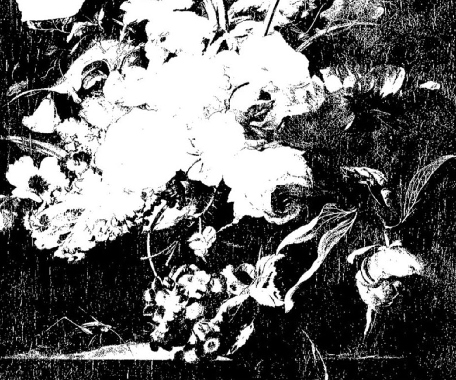 下津光史 会いたい人に会いに行くツアー