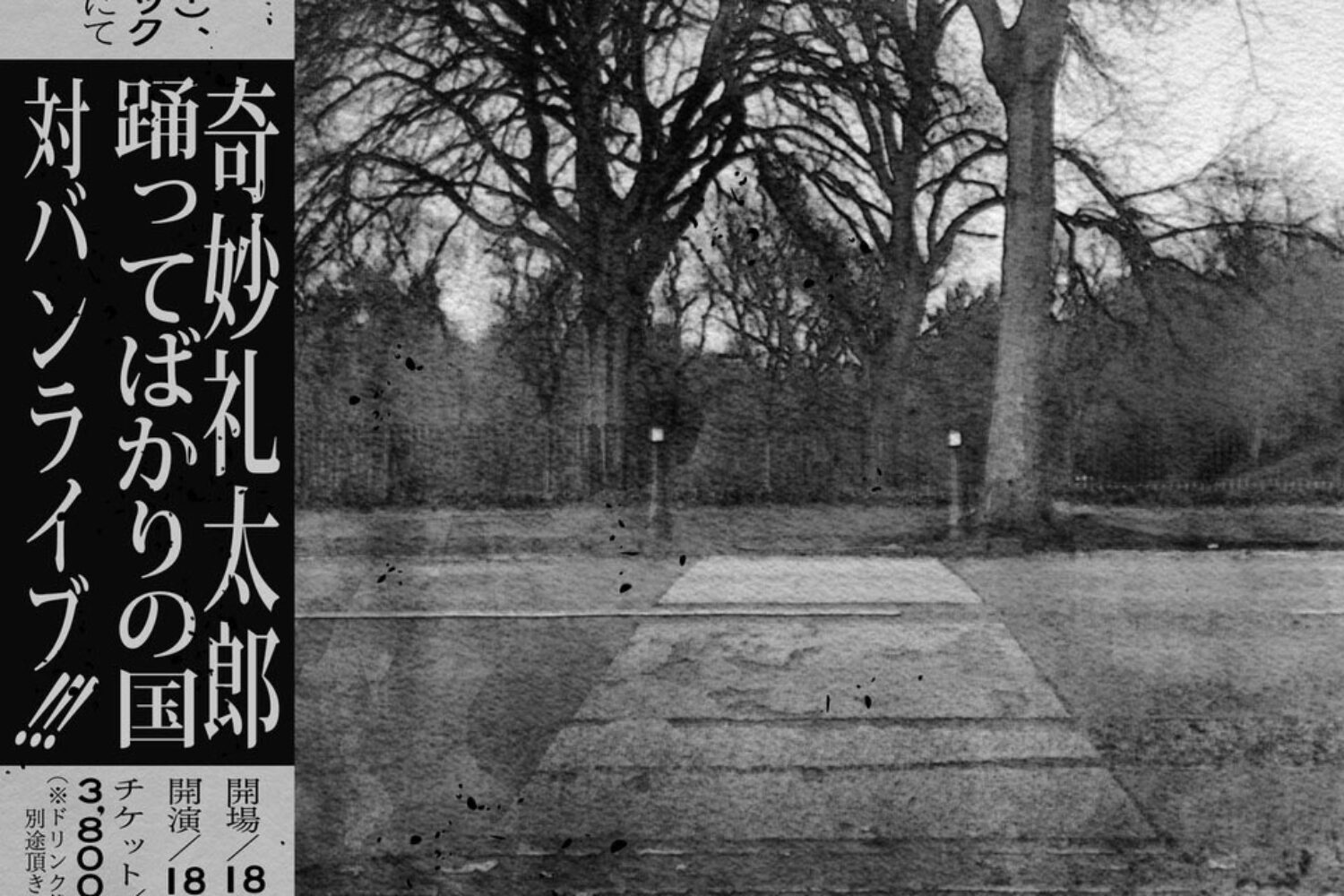 奇妙礼太郎 踊ってばかりの国 胎盤ライブ！