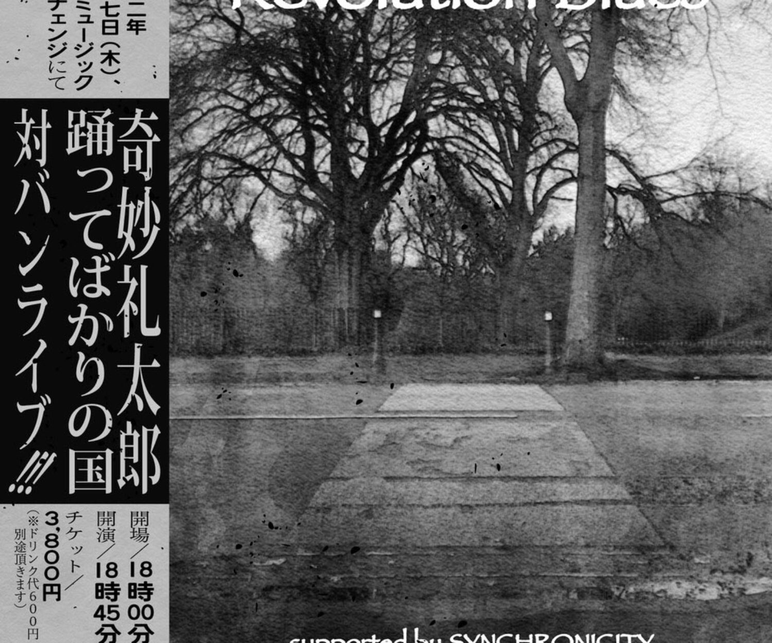 奇妙礼太郎 踊ってばかりの国 胎盤ライブ！